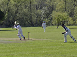 Kids playing cricket