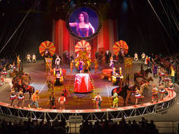 A circus is a great place to entertain a whole family!