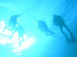 Learn to scuba dive in a registered diving centre.