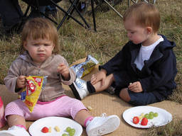 Outdoor Picnics can be relaxing and fun at the same time.