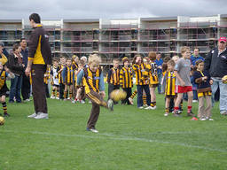 Little footballers performing some kicks.