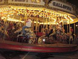 The Gallopers carousel is a popular kids attraction in the Royal Tasmanian Botanical Gardens.