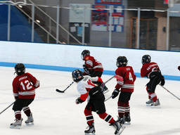 Enjoy some ice hockey in your local sports centre