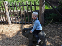 Spend holidays in Melbourne Zoo, a popular destination for kids
