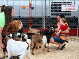 Mother and child feeding baby sheep at a kindy zoo