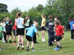 Kids of various ages participating in a sports party at someone’s backyard