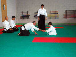 A kid learning aikido postures