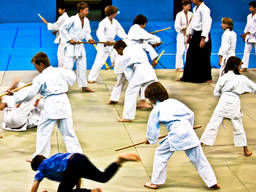 Kids performing various aikido techniques with their coach