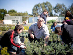 Children learning how to plant trees with their local youth support group