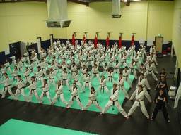 How to decide which martial arts school to join?