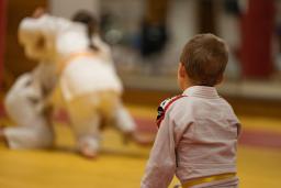 Karate vs. Other Martial Arts: Which is Best for Your Child?