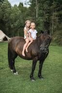 What to Expect in Your Child's First Horse Riding Lesson