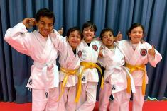 Get 4 Classes + FREE Karate Uniform for $39.95 Forrest Karate Classes &amp; Lessons 3 _small