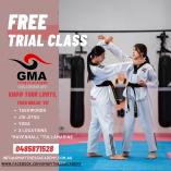 FREE TRIAL Tullamarine Taekwondo Classes &amp; Lessons _small