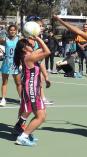 2025 NETBALL REGISTRATIONS OPEN FEB 1st Merrylands Netball Clubs _small