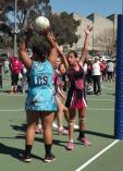 2025 NETBALL REGISTRATIONS OPEN FEB 1st Merrylands Netball Clubs 2 _small