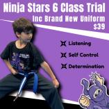 Kids Trial Classes - 6 classes only $19:50 AND we will gift you a free uniform to keep Thornbury Martial Arts Academies _small