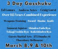 Adults Jujutsu 3 Day training Event Thornbury Martial Arts Academies 2 _small