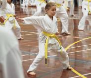 2x Free Trial Lessons Morley Taekwondo Classes &amp; Lessons _small