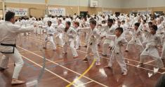 2x Free Trial Lessons Duncraig Taekwondo Classes &amp; Lessons 4 _small