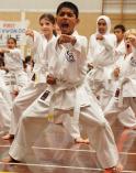 2x Free Trial Lessons Kiara Taekwondo Classes &amp; Lessons 3 _small