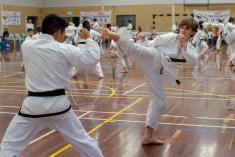 2x Free Trial Lessons Kiara Taekwondo Classes &amp; Lessons 4 _small