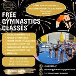 Exciting Free Gymnastics Lessons at Eastern Gymnastics Academy! Waterloo Gymnastics Clubs _small