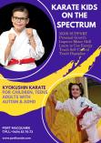 Karate Kid on The Spectrum Port Macquarie Art Associations _small