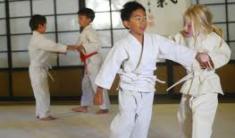 Free come and try session for Aiki kids Hawthorn Aikido  Classes &amp; Lessons _small