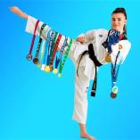 Experience the pinnacle Taekwondo Martial Arts style Chester Hill Karate Schools 2 _small