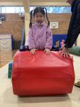 Le Ray Gymnastics School Holiday Camps for Kids Wahroonga Gymnastics Classes & Lessons 3 _small