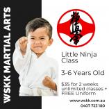 Little Ninja (3-6 Years) 2 Weeks UNLIMITED Classes for $25 + FREE Uniform Leumeah Karate Classes &amp; Lessons 3 _small