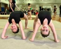 Le Ray Gymnastics School Holiday Camps for Kids Wahroonga Gymnastics Classes & Lessons 3 _small
