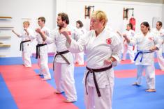 Try Karate Now for Free Ashmore Karate Classes &amp; Lessons _small