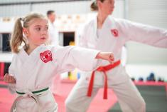 Try Karate Now for Free Ashmore Karate Classes &amp; Lessons 3 _small