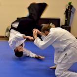 First lesson free Springfield Lakes Aikido  Classes &amp; Lessons _small