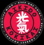 First lesson free Springfield Lakes Aikido  Classes &amp; Lessons 2 _small