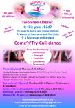Free Come&#039;n&#039;Try Classes Henley Beach Calisthenics Classes &amp; Lessons _small