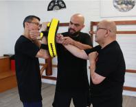 FREE TRIAL - KIDS &amp; ADULTS KUNG FU CLASSES Willoughby Kung Fu Schools 3 _small