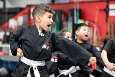 2 x Free trial Classes Prestons Karate Schools _small