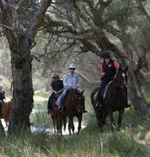 1800 Trail Rides Neergabby Horse Riding Venues 1_small