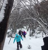 Adventure Guides Australia Beechworth Abseiling 1_small