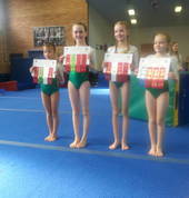 Engadine Gymnastics Club Inc Engadine Gymnastics Clubs 3_small