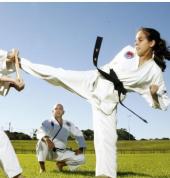 South Eastern Traditional Taekwondo Malabar Taekwondo Schools 3_small