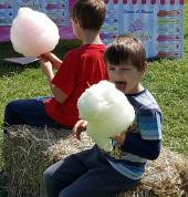 Fairy floss