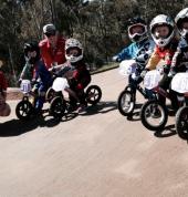 Mini Wheelers