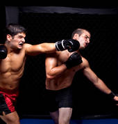 Muay Thai & MMA
