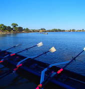 Champion Lakes Boating Club - Rowing Division Champion Lakes Rowing Clubs 1_small