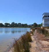 Champion Lakes Boating Club - Rowing Division Champion Lakes Rowing Clubs 3_small