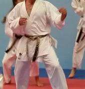 Mornington Ishinryu Karate Mornington Karate Schools 4_small